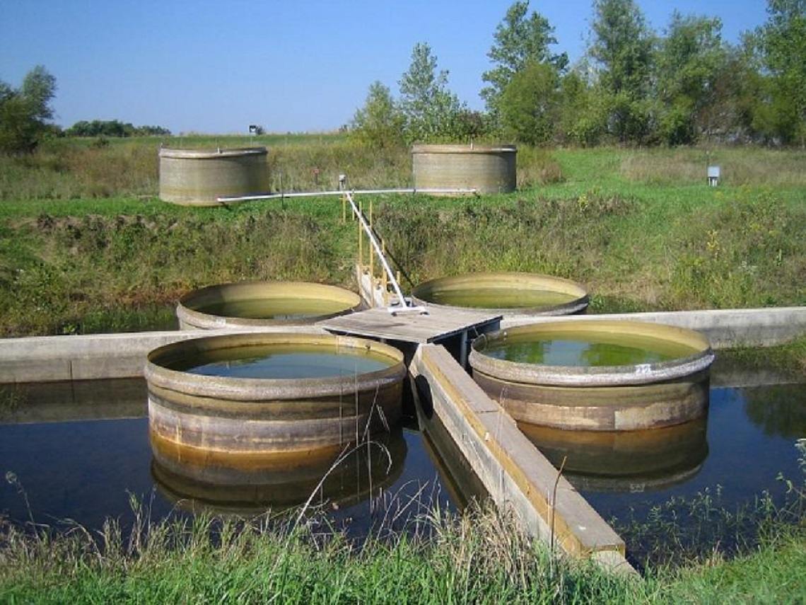 Biofuel Tanks