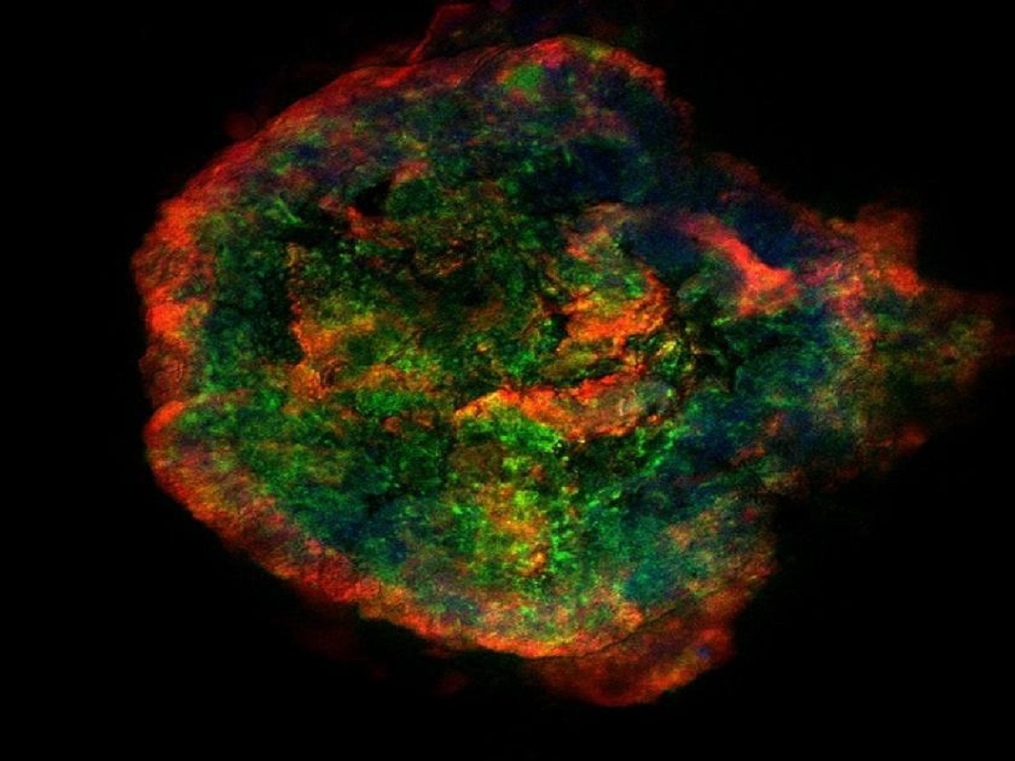 Structure of biofilm study