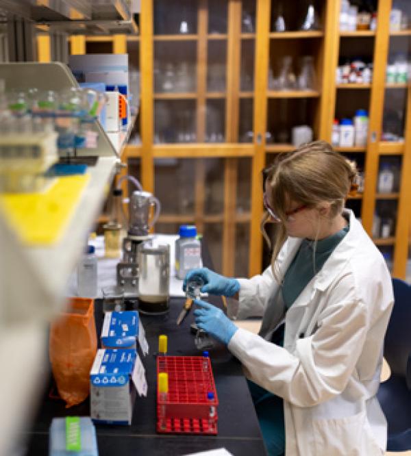 A student works with vials in a laboratory